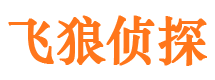 河东区捉小三公司